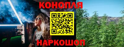 прущие крисы Будённовск