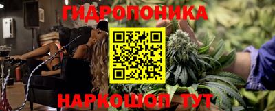 прущие крисы Будённовск