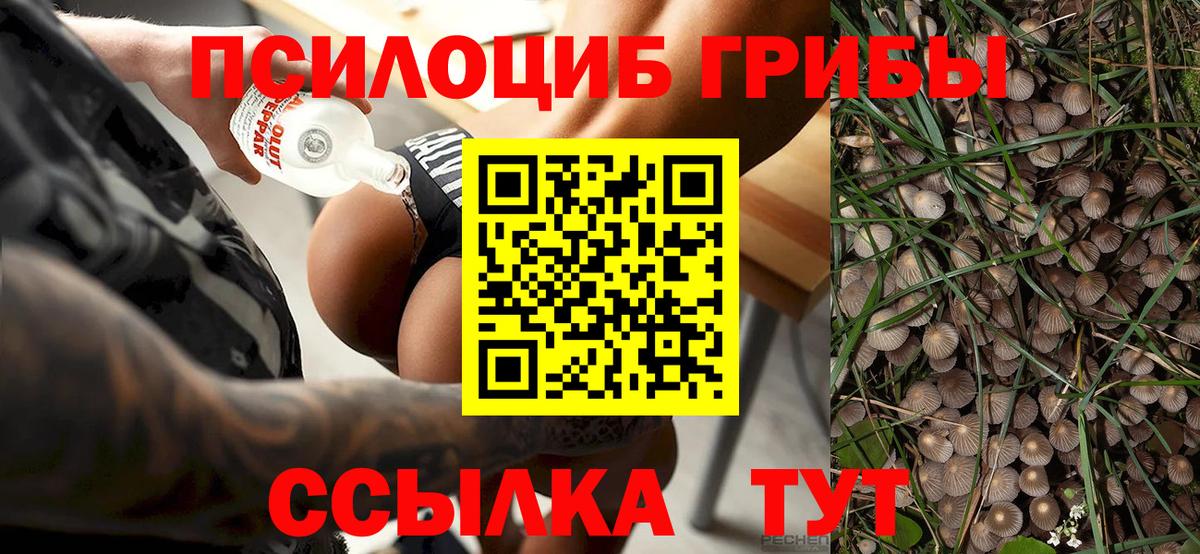 Псилоцибиновые грибы ЛСД  Псилоцибиновые грибы Psilocybine cubensis  Южно-Сахалинск  Вход с VPN 